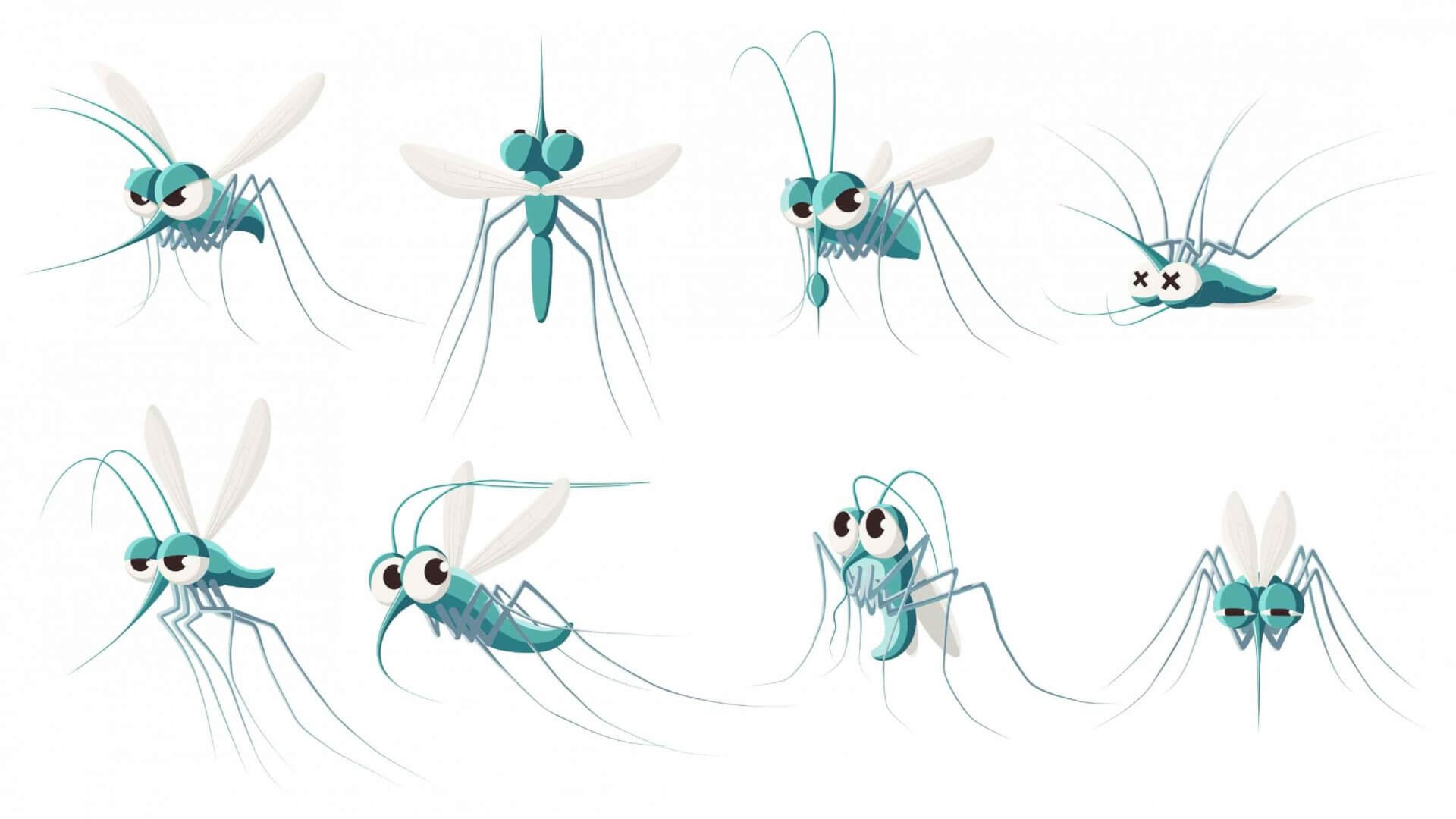 lifespan of a mosquito