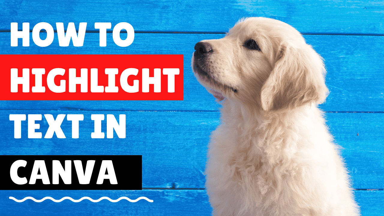 How To Highlight Text In Canva 5 Steps 2022 With Video 