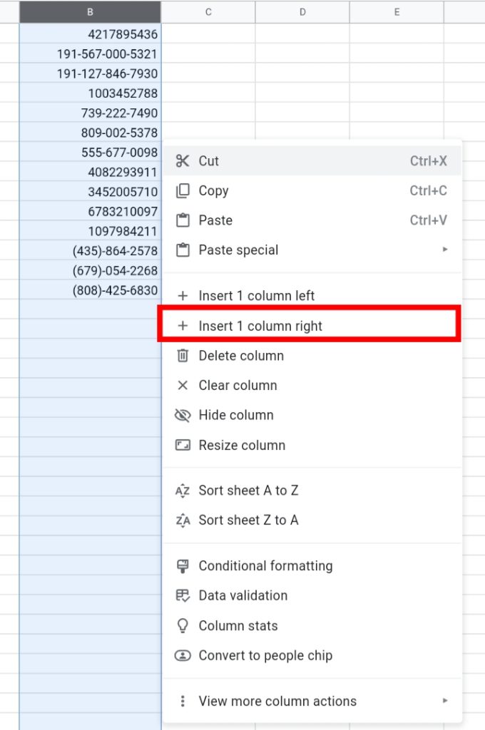 13 How To Format Phone Numbers in Google Sheets